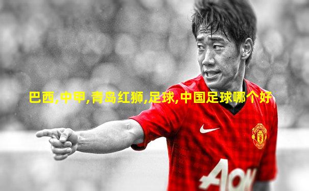 巴西,中甲,青岛红狮,足球,中国足球哪个好