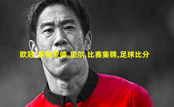 欧冠,多特蒙德,里尔,比赛集锦,足球比分