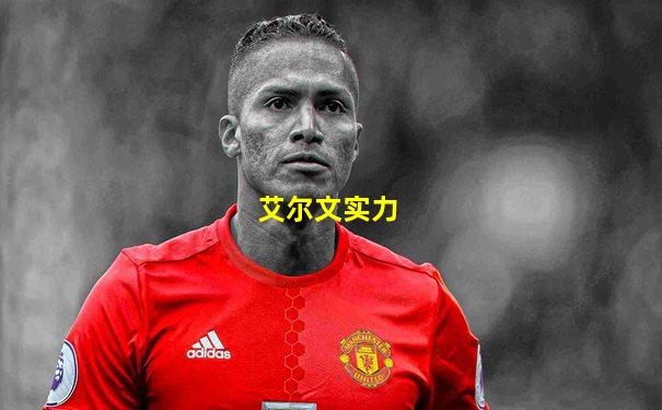 艾尔文实力
