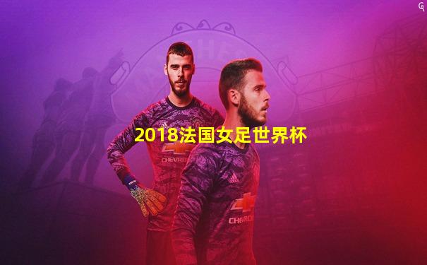 2018法国女足世界杯