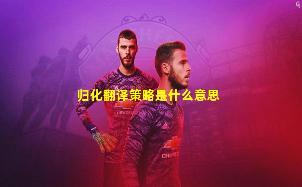 归化翻译策略是什么意思