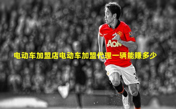 电动车加盟店电动车加盟代理一辆能赚多少