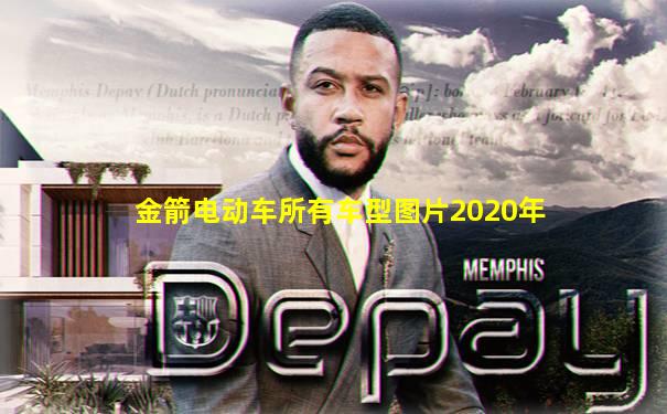 金箭电动车所有车型图片2020年