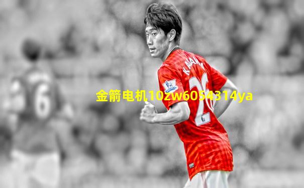 金箭电机10zw6054314ya